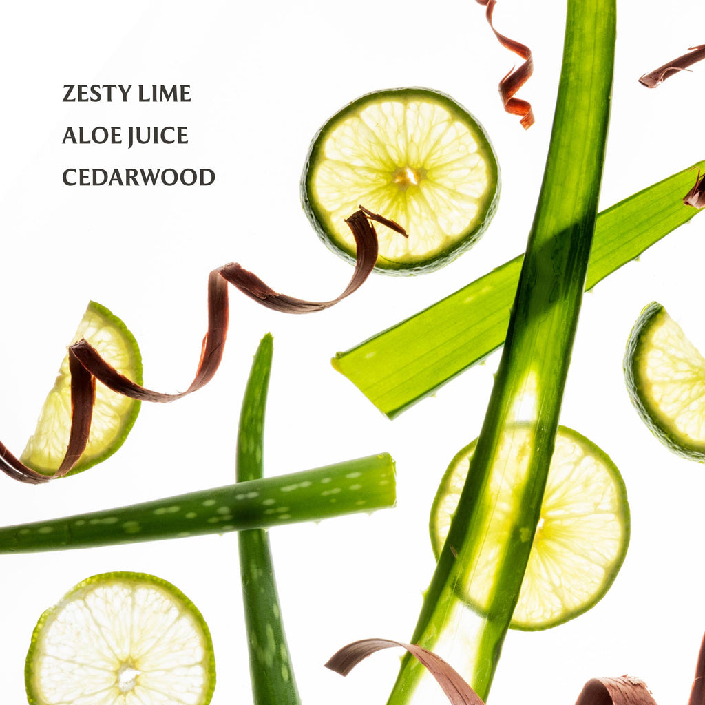 Touchland - Aloe You Power Mist Hydrating Hand Sanitizer