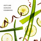 Touchland - Aloe You Power Mist Hydrating Hand Sanitizer