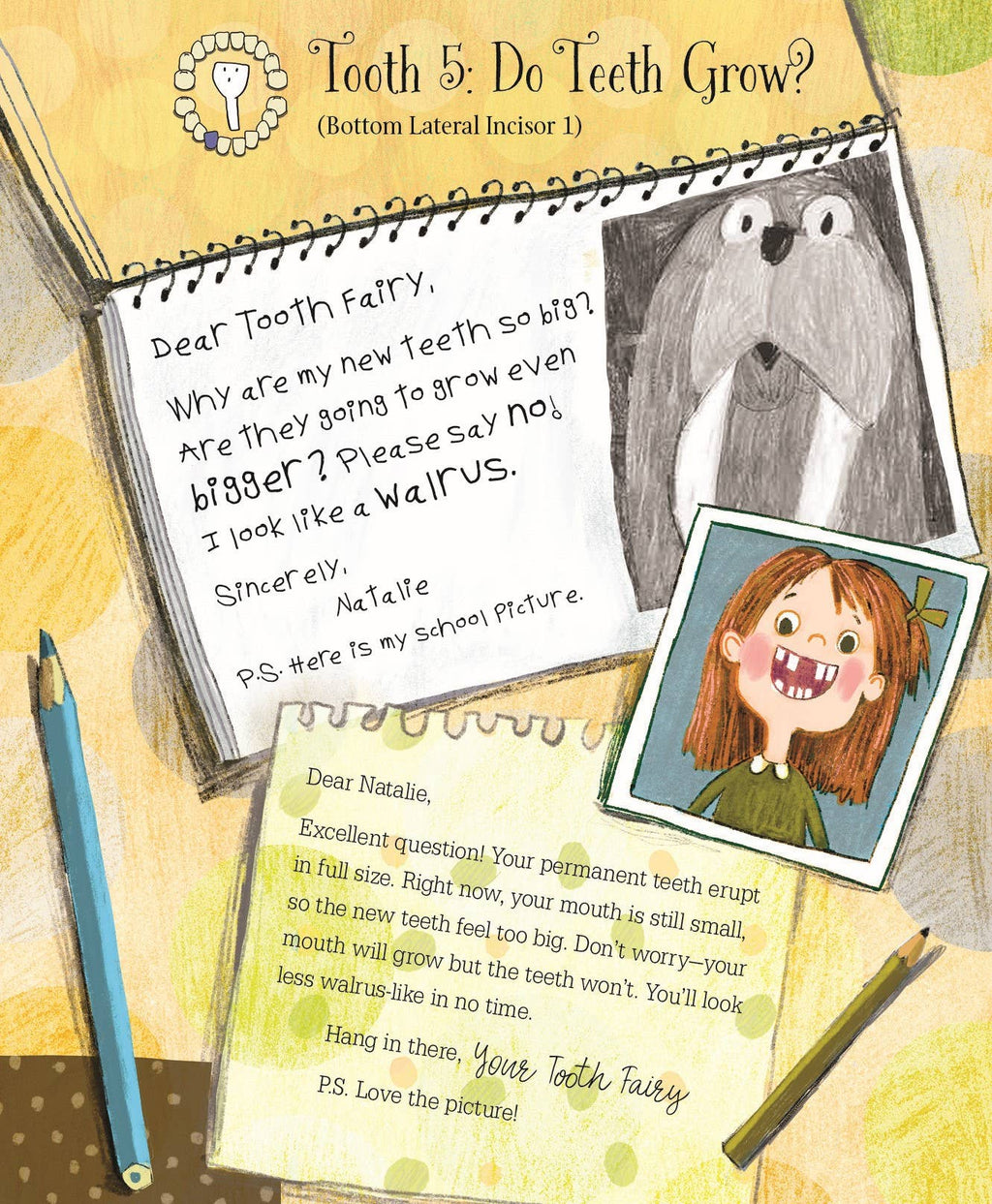 Sleeping Bear Press - Letters from My Tooth Fairy Picture Book