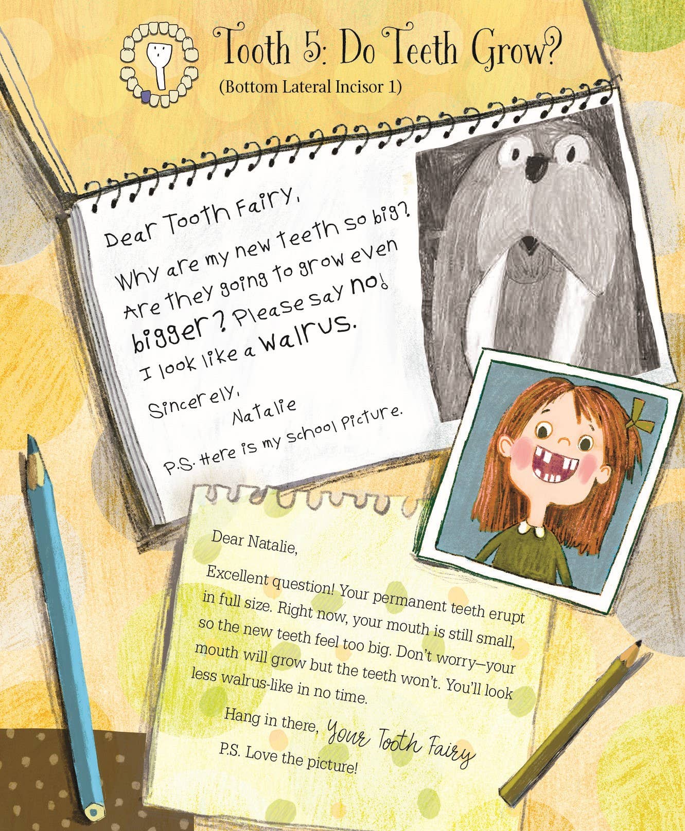 Sleeping Bear Press - Letters from My Tooth Fairy Picture Book