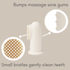 Ali+Oli - Baby Finger Toothbrush & Tongue Cleaner Oral Set 3m+ (Ivory)