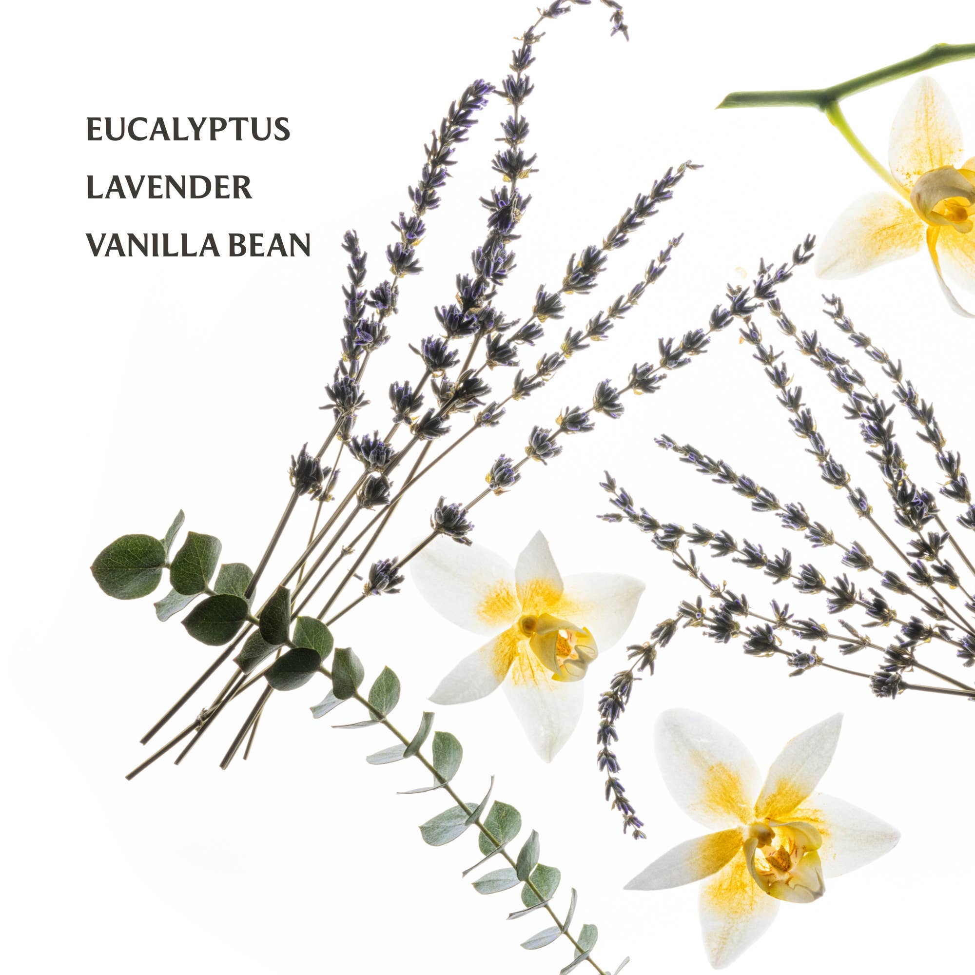 Touchland - Pure Lavender Power Mist Hydrating Hand Sanitizer