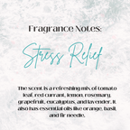 Villa Bain - Stress Relief Shower Cube