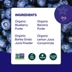 Ingredients list highlighting organic blueberry purée, organic banana purée, organic barley grass juice powder, and organic lemon juice concentrate for Sophie's Organics - Cool (6 Pack).