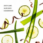 Sliced limes and green leaves with ribbons on a white background, labeled 'Zesty Lime Aloe Juice Cedarwood'.