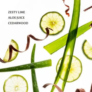 Sliced limes and green leaves with ribbons on a white background, labeled 'Zesty Lime Aloe Juice Cedarwood'.