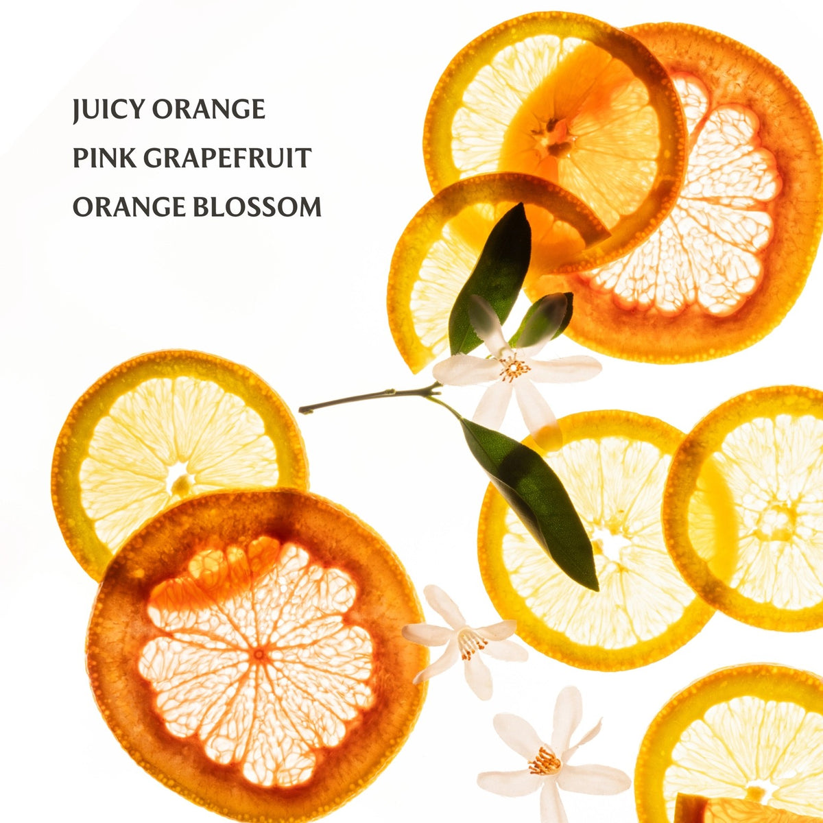 Sliced oranges, pink grapefruit, and orange blossoms on a white background with text 'Juicy Orange Pink Grapefruit Orange Blossom'.