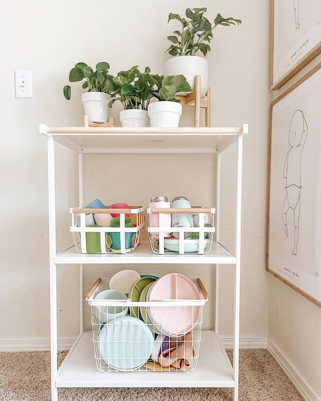 Ali+Oli - Baby Plate with Suction and  Divided Portions (Sky)