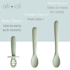 Ali+Oli - Ali+Oli (3-pc) Multi Stage Spoon Set for Baby (Pine) 6m+