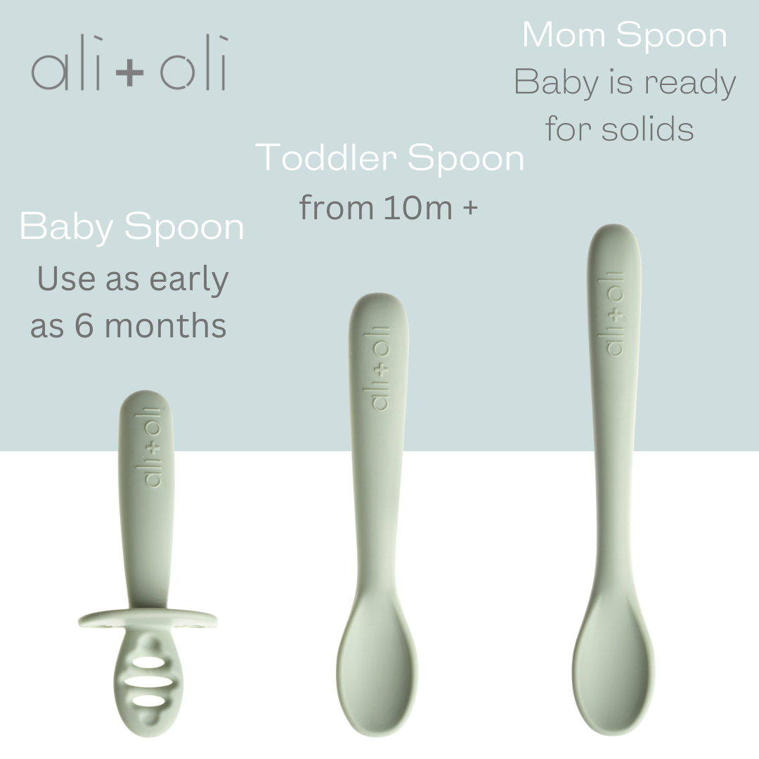 Ali+Oli - Ali+Oli (3-pc) Multi Stage Spoon Set for Baby (Pine) 6m+