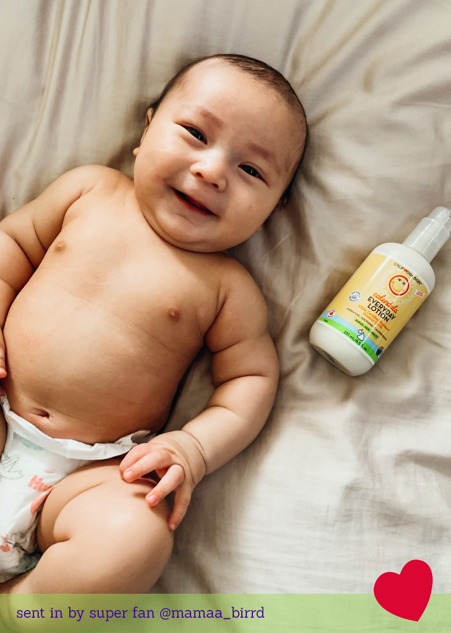 Calendula Everyday Lotion