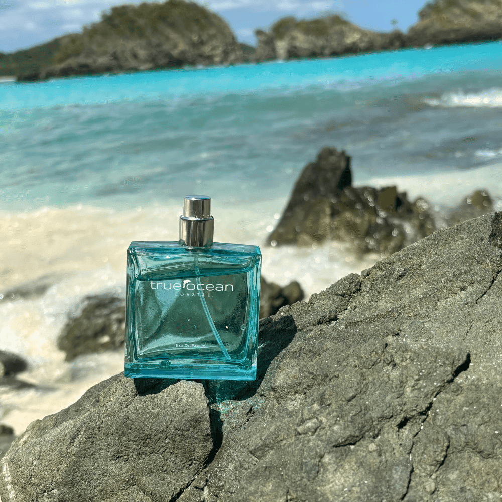 True Ocean - Coastal - a beach perfume bottle resting on a rocky shore with turquoise ocean water and clear blue sky in the background, evoking a fresh coastal vibe.