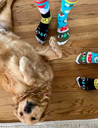 Pals Socks - Sushi & Soy Sauce Mismatched Food Socks: Adults