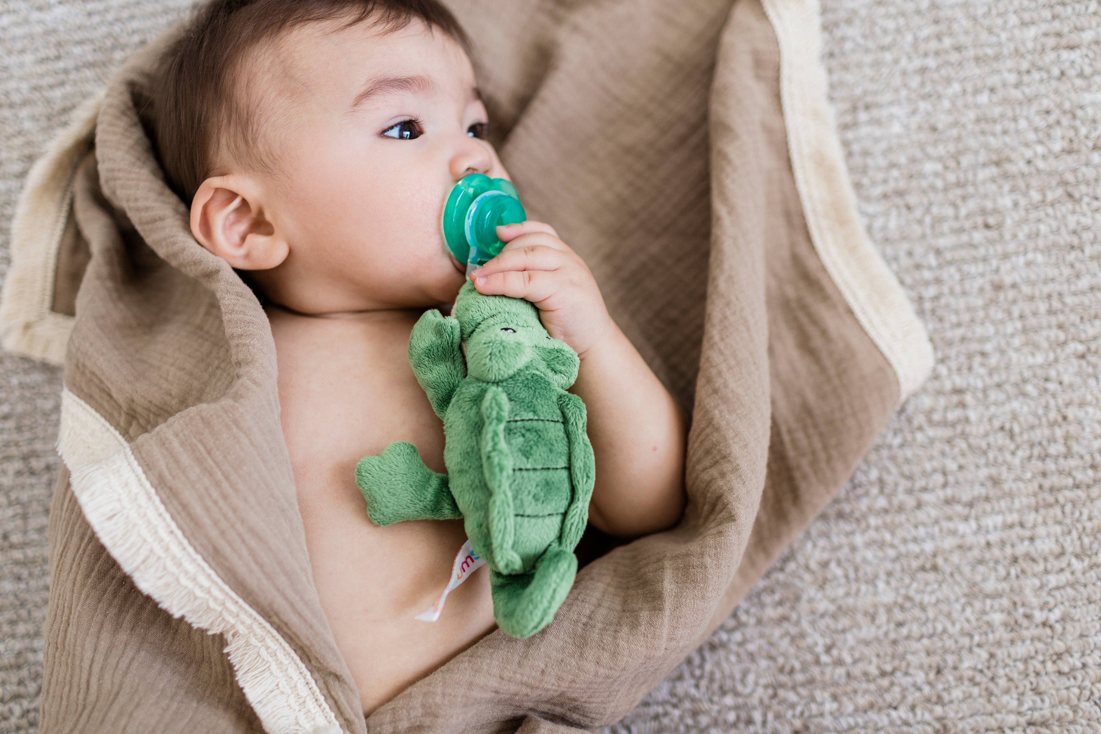 Nookums - Paci-Plushies Buddies - Alli Alligator